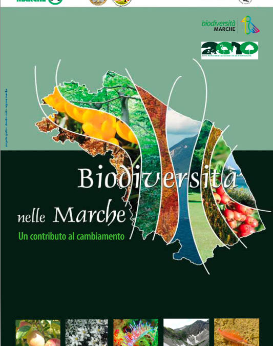 Biodiversità nelle Marche, a cura di Edoardo Biondi e Massimiliano Morbidoni